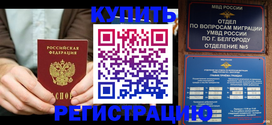 прописка 2025 в Братске